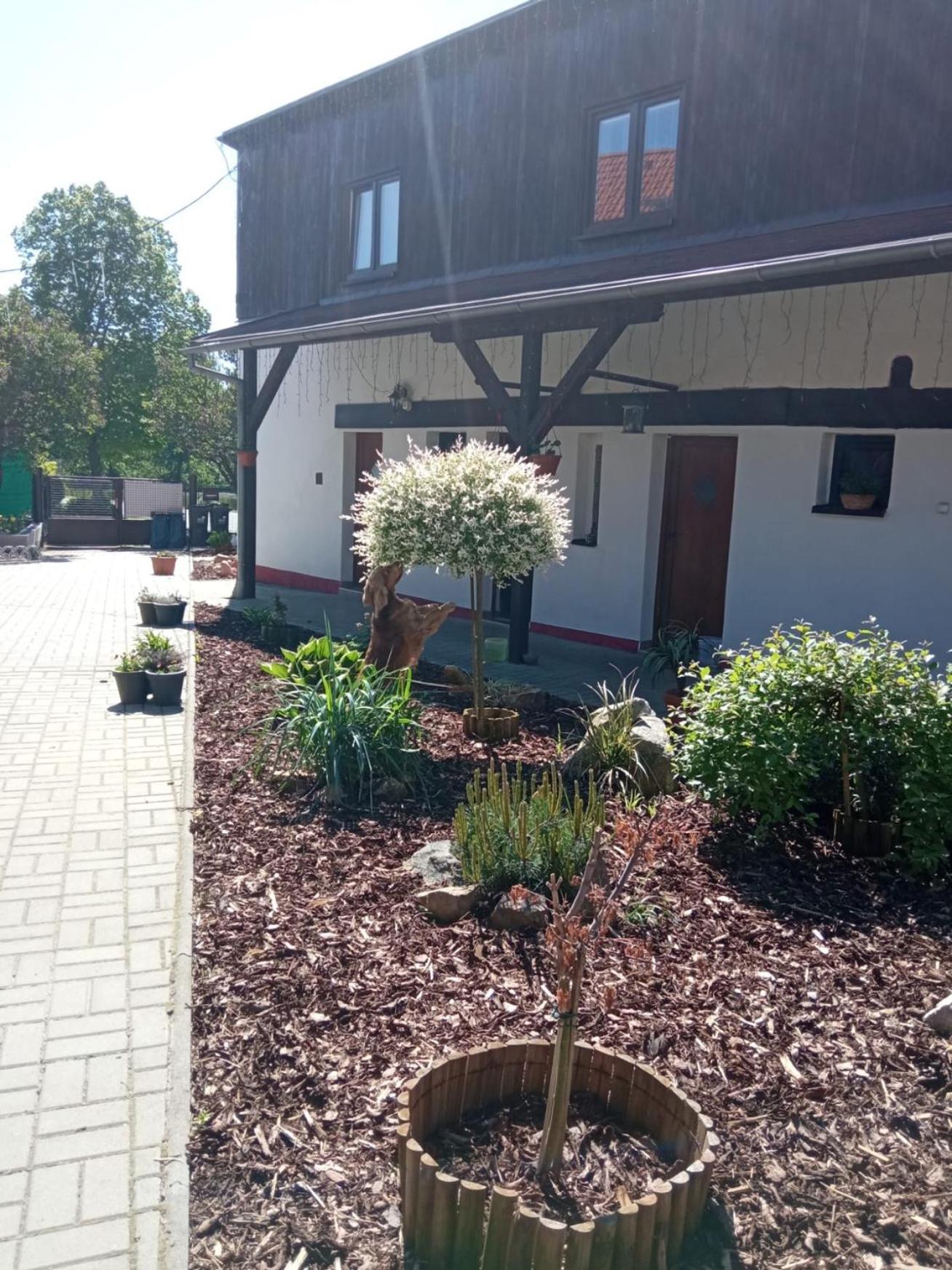 Penzion Dagmar Kokasice Buitenkant foto